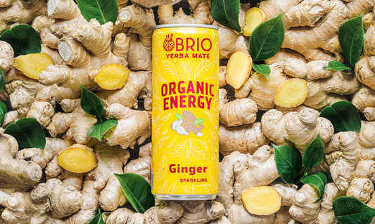 BRIO Organic Energy Tea Ginger 250ml