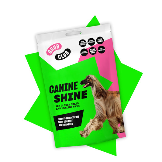 Grub Club Canine Shine 100g