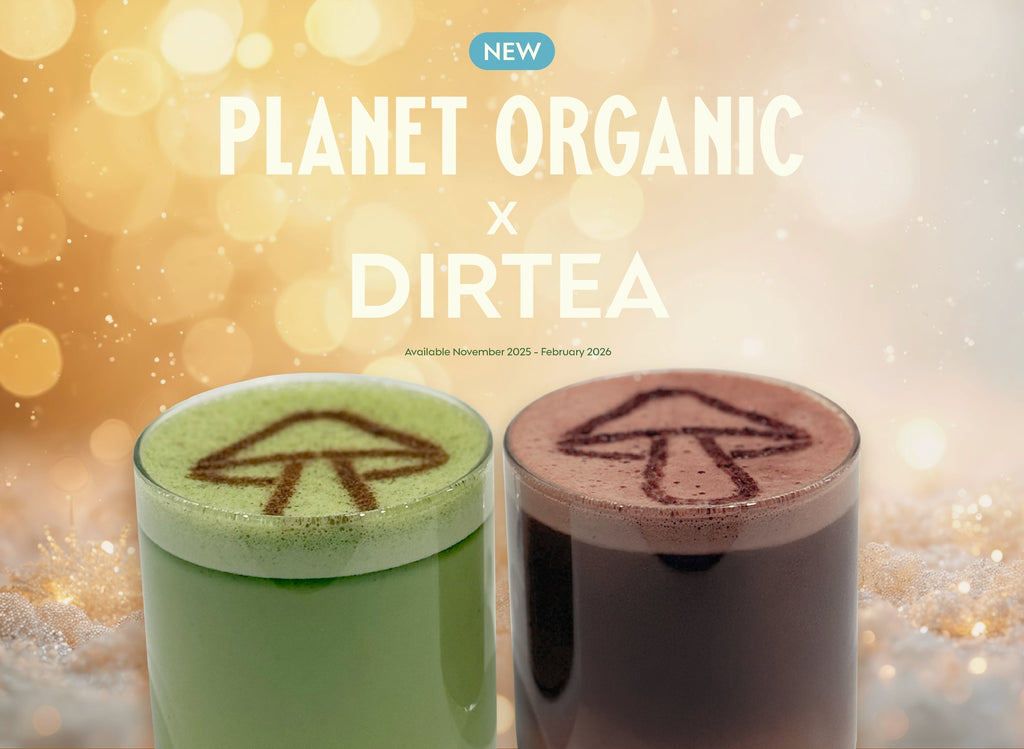 Meet Your New Favourite Mushroom-Powered Hot Drinks