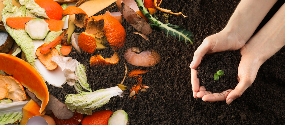 A Guide on How To Make Compost at Home | Planet Organic