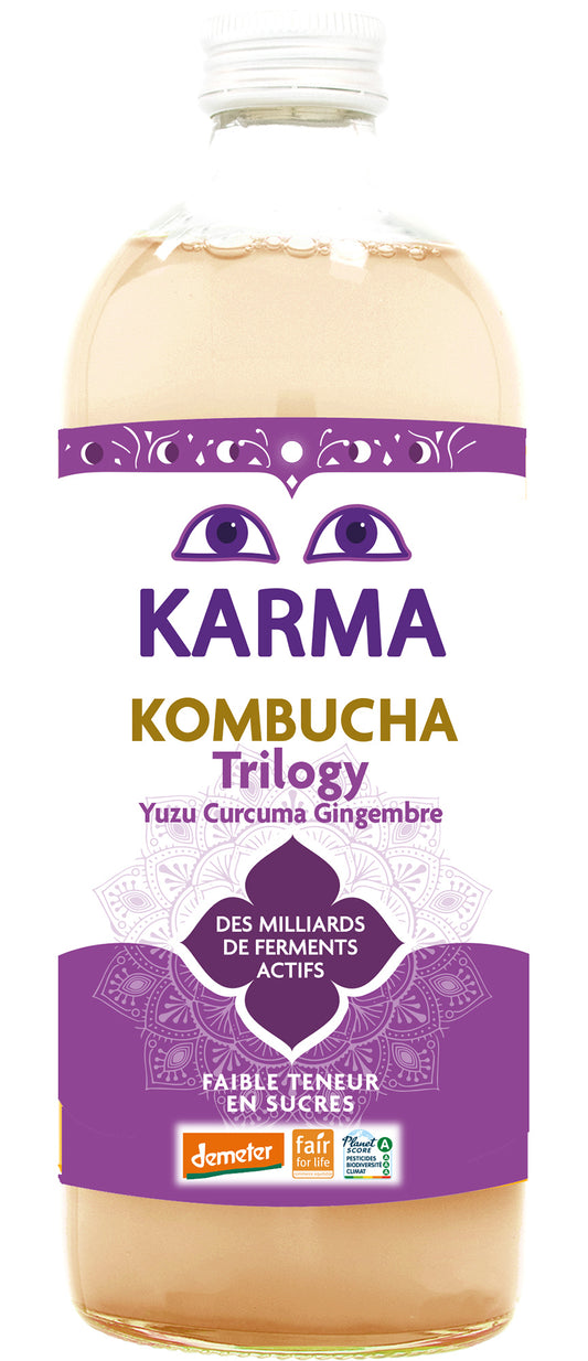 Karma Kombucha Ginger Trilogy