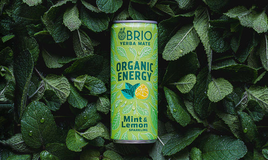 BRIO Organic Energy Tea Mint & Lemon 250ml