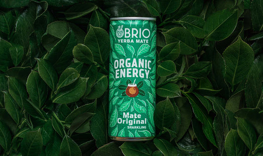 BRIO Organic Energy Tea Original 250ml