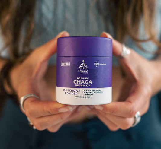 Hybrid Herbs Chaga Mushroom Powder 30g