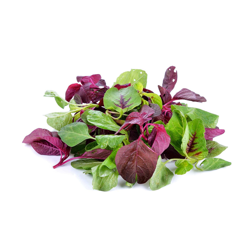 G's Mixed Leaf Salad 200g