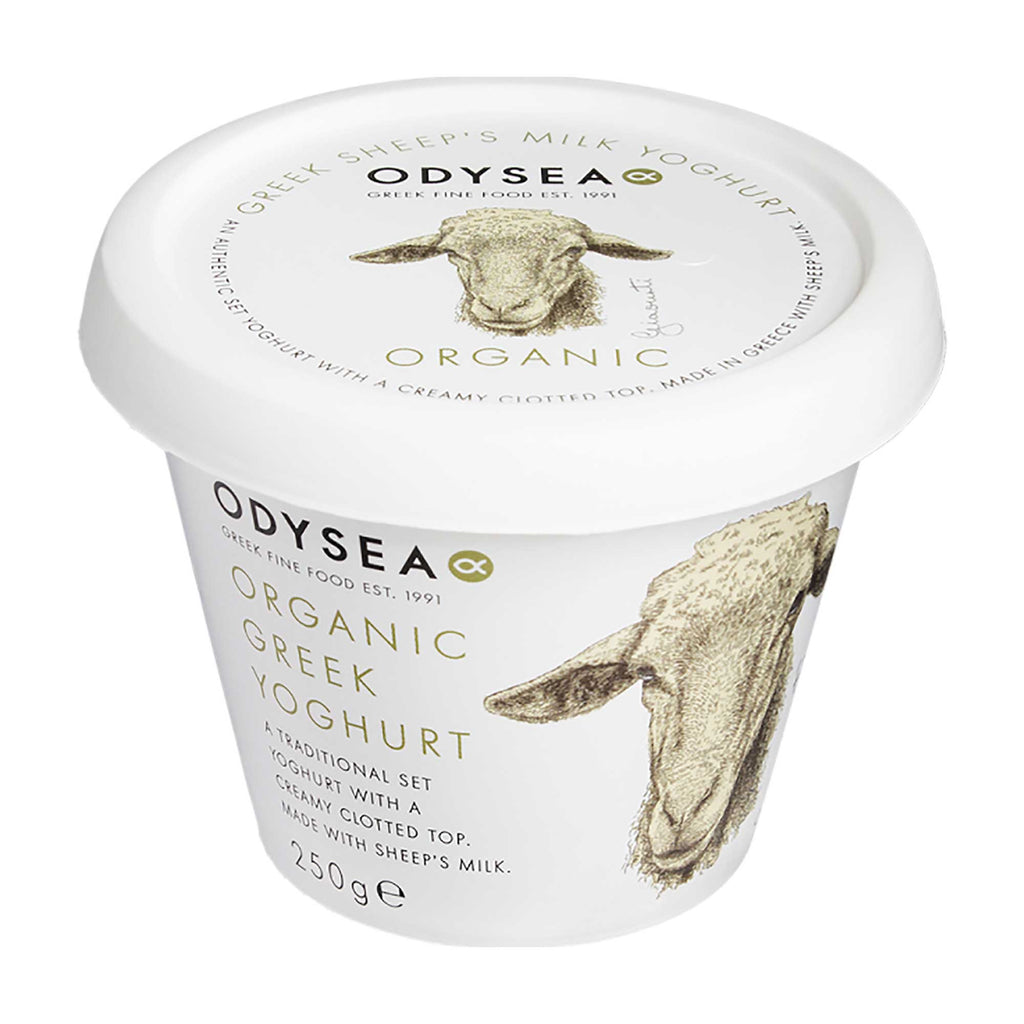 Odysea Greek Sheep's Milk Yoghurt 220g