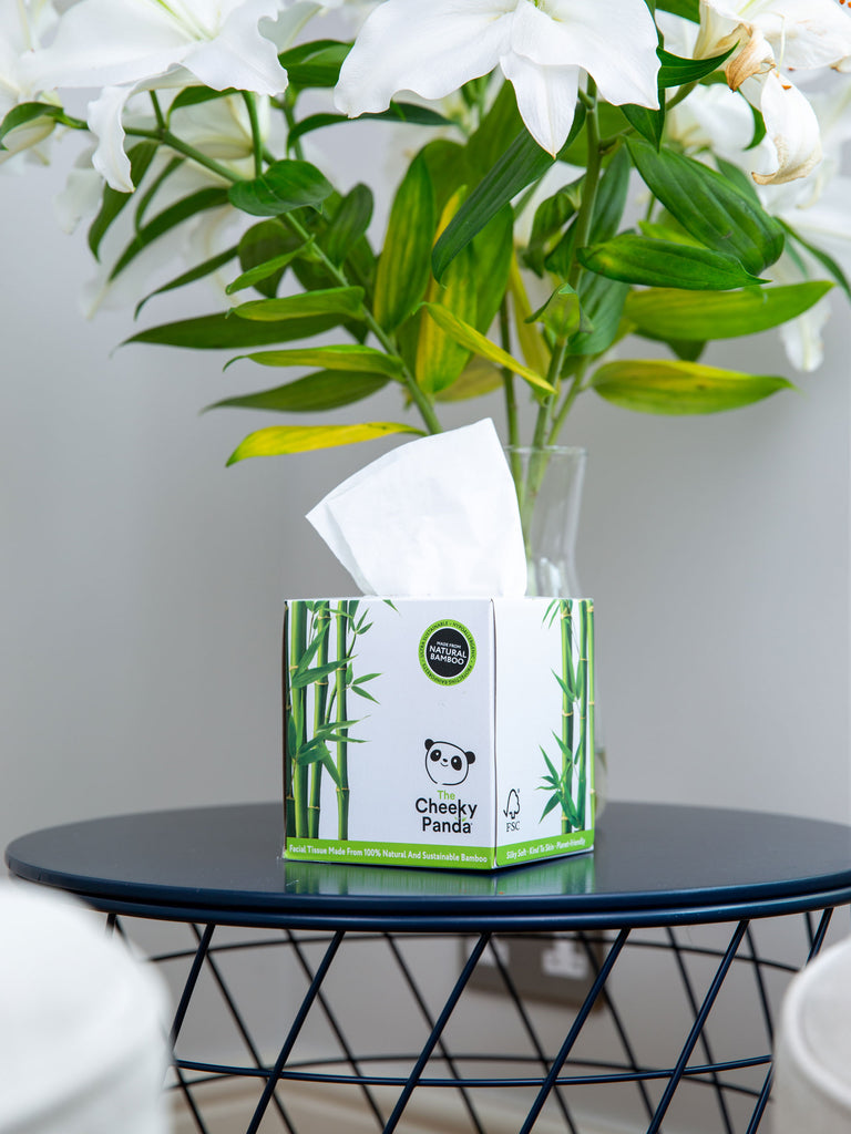 The Cheeky Panda Bamboo Facial Tissue Cube Box 1 box