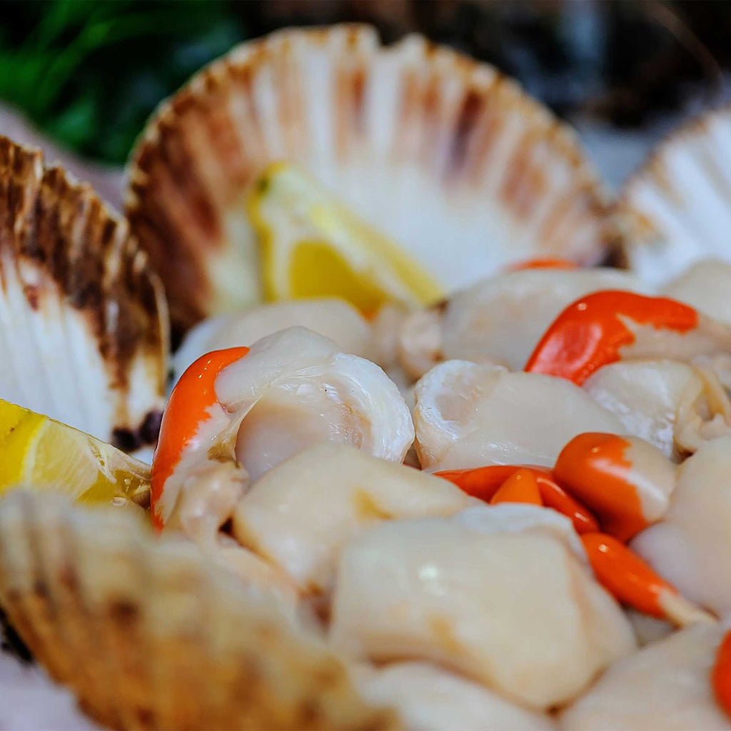 The Fresh Fish Shop Hand Dived Scallops 200g